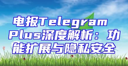 电报Telegram Plus深度解析：功能扩展与隐私安全