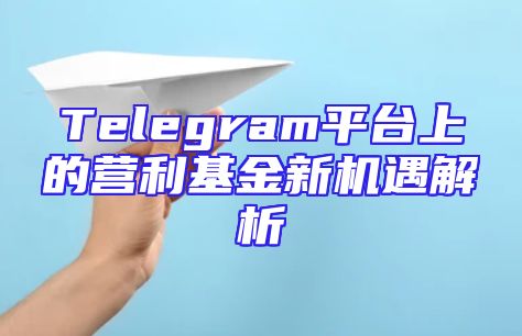 Telegram平台上的营利基金新机遇解析