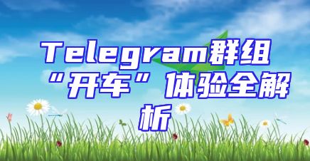 Telegram群组“开车”体验全解析