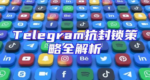 Telegram抗封锁策略全解析