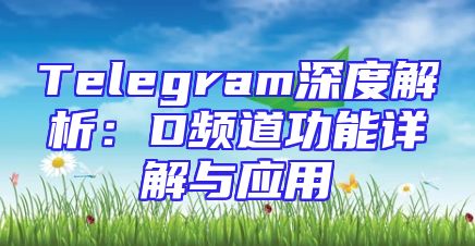 Telegram深度解析：D频道功能详解与应用