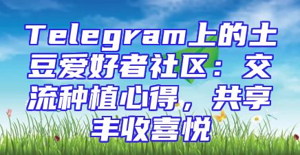 Telegram上的土豆爱好者社区：交流种植心得，共享丰收喜悦