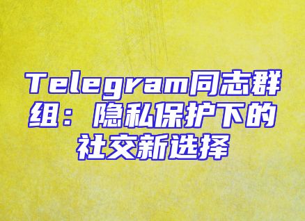 Telegram同志群组：隐私保护下的社交新选择