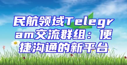 民航领域Telegram交流群组：便捷沟通的新平台