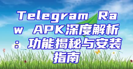 Telegram Raw APK深度解析：功能揭秘与安装指南