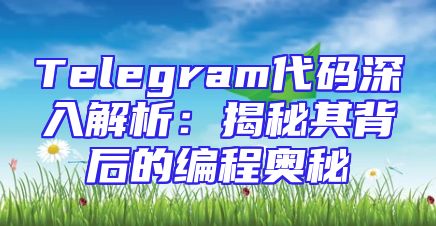 Telegram代码深入解析：揭秘其背后的编程奥秘