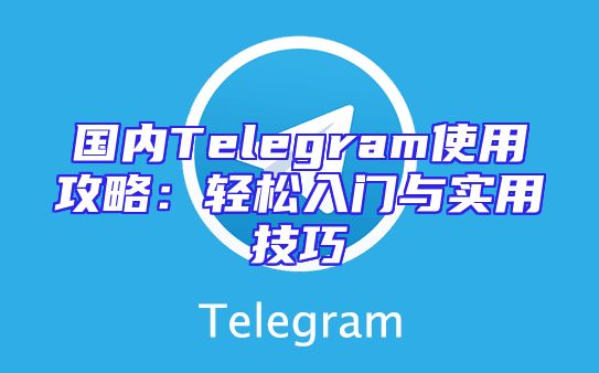国内Telegram使用攻略：轻松入门与实用技巧