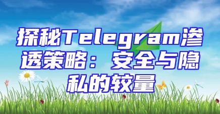 探秘Telegram渗透策略：安全与隐私的较量