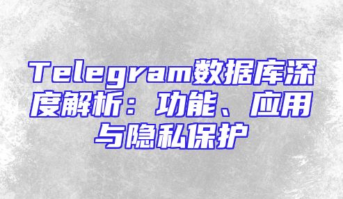 Telegram数据库深度解析：功能、应用与隐私保护