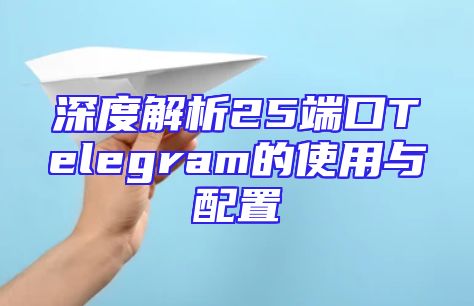 深度解析25端口Telegram的使用与配置