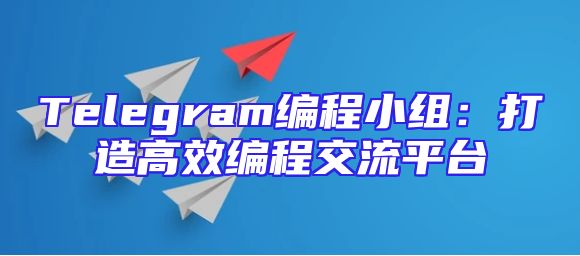 Telegram编程小组：打造高效编程交流平台