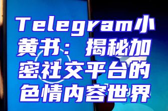 Telegram小黄书：揭秘加密社交平台的色情内容世界