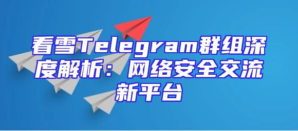 看雪Telegram群组深度解析：网络安全交流新平台
