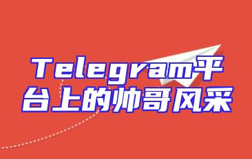 Telegram平台上的帅哥风采
