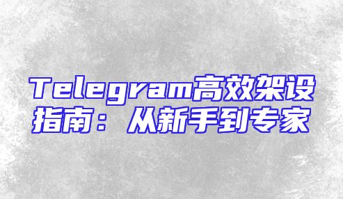 Telegram高效架设指南：从新手到专家