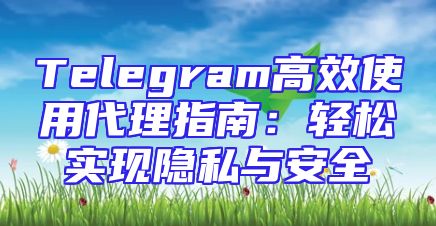 Telegram高效使用代理指南：轻松实现隐私与安全