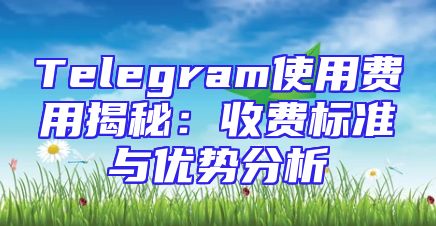 Telegram使用费用揭秘：收费标准与优势分析