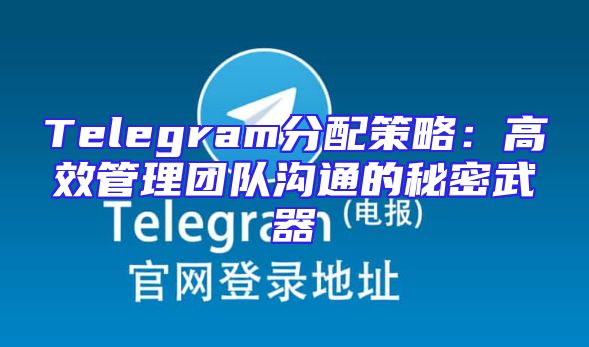 Telegram分配策略：高效管理团队沟通的秘密武器
