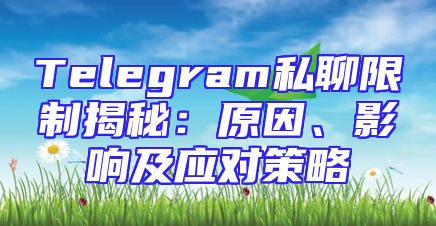 Telegram私聊限制揭秘：原因、影响及应对策略