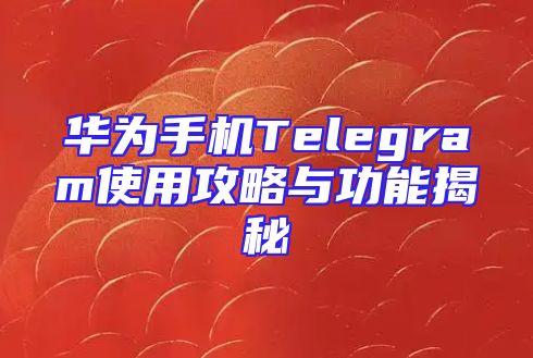 华为手机Telegram使用攻略与功能揭秘