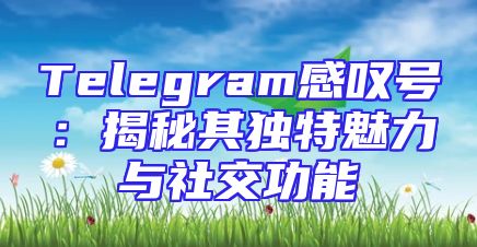 Telegram感叹号：揭秘其独特魅力与社交功能