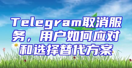 Telegram取消服务，用户如何应对和选择替代方案