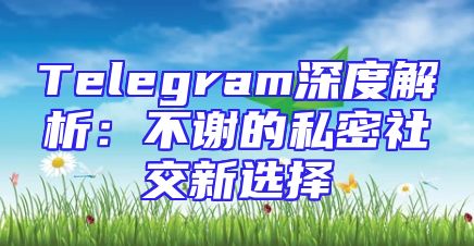 Telegram深度解析：不谢的私密社交新选择
