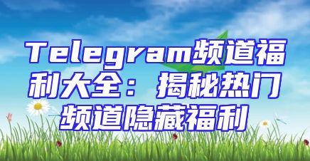 Telegram频道福利大全：揭秘热门频道隐藏福利