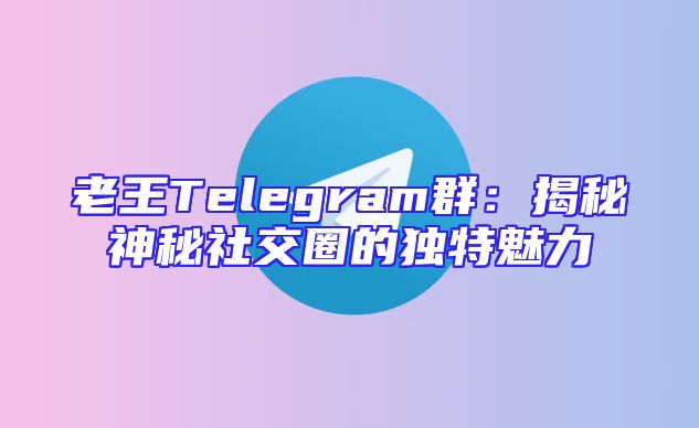 老王Telegram群：揭秘神秘社交圈的独特魅力