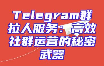 Telegram群拉人服务：高效社群运营的秘密武器