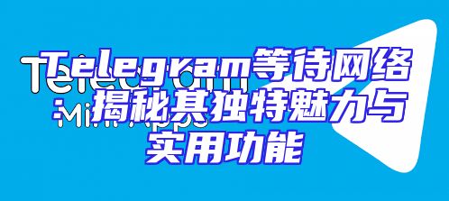 Telegram等待网络：揭秘其独特魅力与实用功能