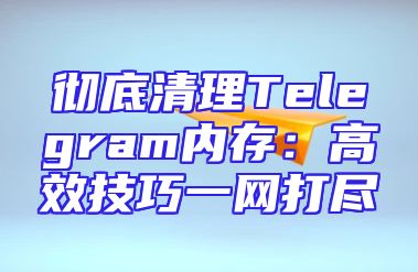 彻底清理Telegram内存：高效技巧一网打尽