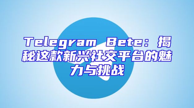 Telegram Bete：揭秘这款新兴社交平台的魅力与挑战