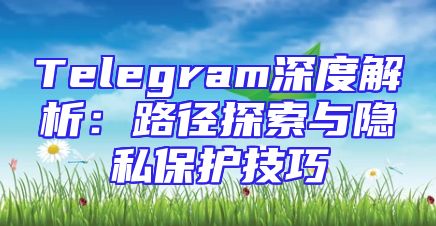 Telegram深度解析：路径探索与隐私保护技巧