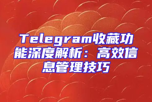 Telegram收藏功能深度解析：高效信息管理技巧