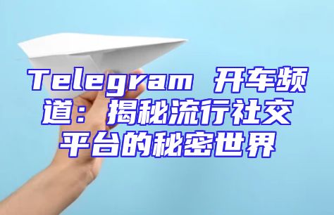 Telegram 开车频道：揭秘流行社交平台的秘密世界