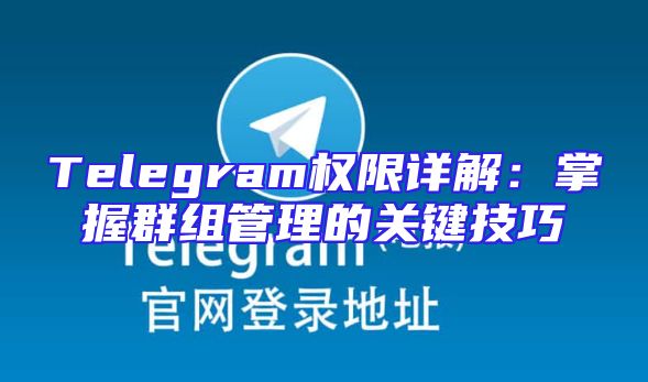 Telegram权限详解：掌握群组管理的关键技巧