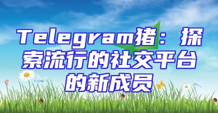 Telegram猪：探索流行的社交平台的新成员