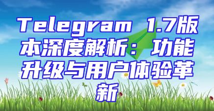 Telegram 1.7版本深度解析：功能升级与用户体验革新