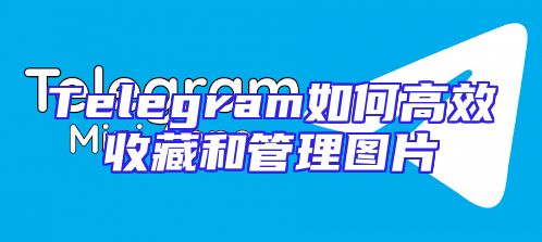 Telegram如何高效收藏和管理图片