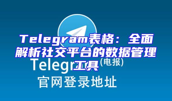Telegram表格：全面解析社交平台的数据管理工具