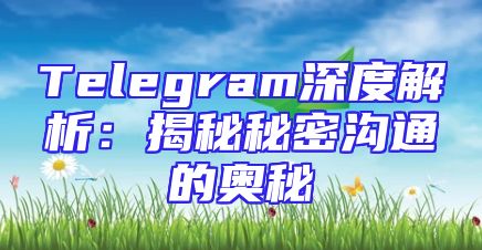 Telegram深度解析：揭秘秘密沟通的奥秘