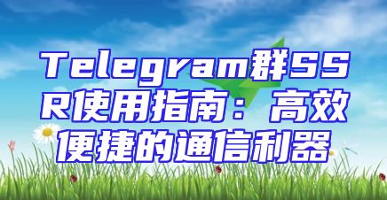 Telegram群SSR使用指南：高效便捷的通信利器