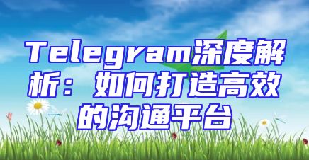 Telegram深度解析：如何打造高效的沟通平台