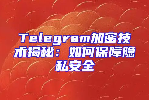 Telegram加密技术揭秘：如何保障隐私安全