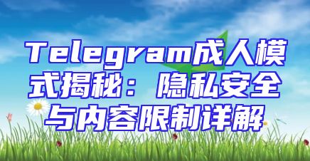 Telegram成人模式揭秘：隐私安全与内容限制详解
