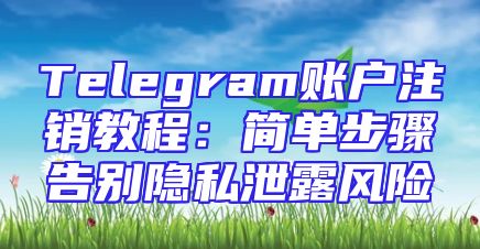 Telegram账户注销教程：简单步骤告别隐私泄露风险