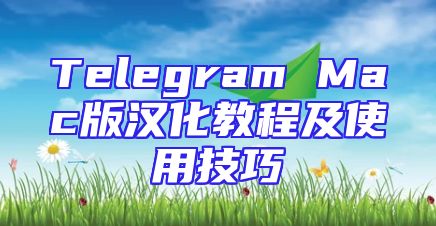 Telegram Mac版汉化教程及使用技巧