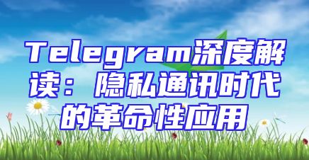 Telegram深度解读：隐私通讯时代的革命性应用
